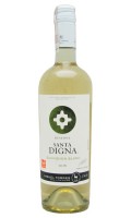 Wino Torres Santa Digna Sauvignon Blanc Reserva
